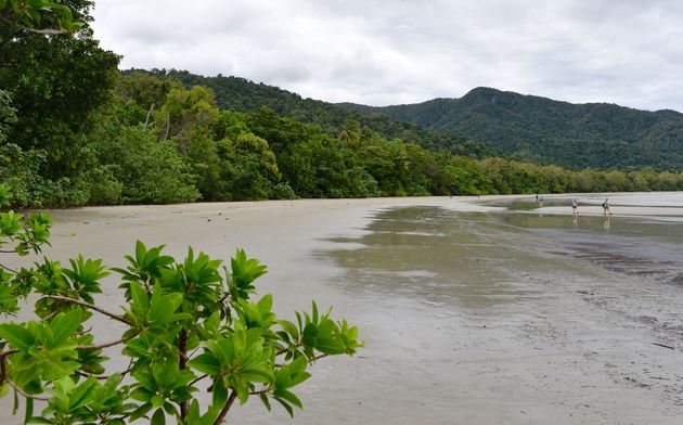 Uitzicht over Cape Tribulation: zelfs met regen is het mooi!