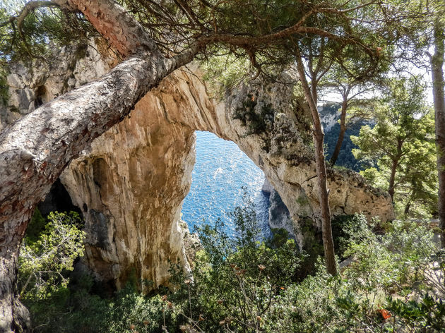 We spotten de Arco Naturale van dichtbij