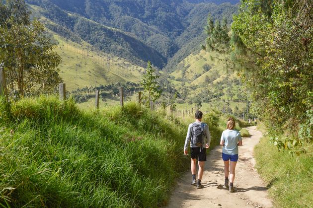 Valle de Cocora is voor velen d\u00e9 reden om Salento te bezoeken