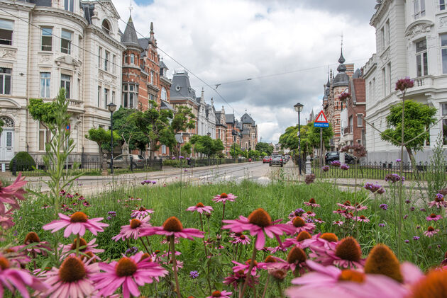 Ga jij naar Antwerpen? Zorg dat je deze mooie wijk niet mist!