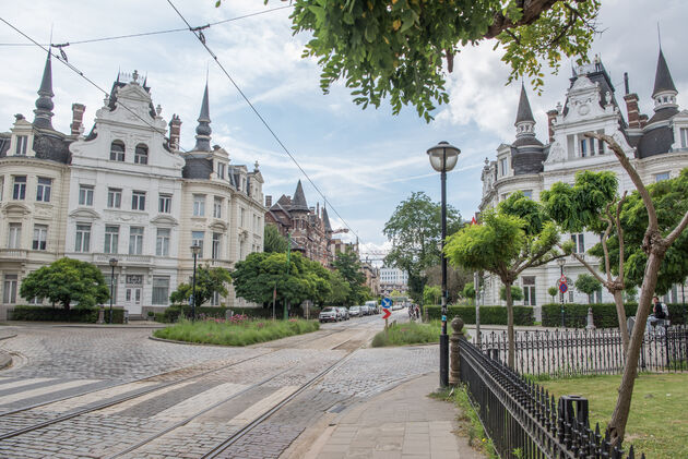 Veel groen in de Cogels-Osylei