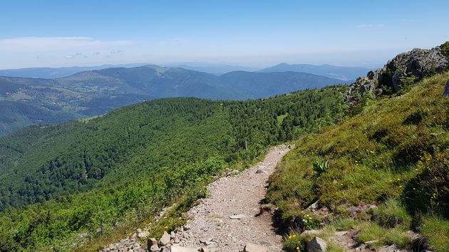 Aanrader voor bergwandelaars zijn de mooie trails op en rond de Grand Ballon