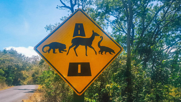 Zo leuk zijn de verkeersborden in Costa Rica