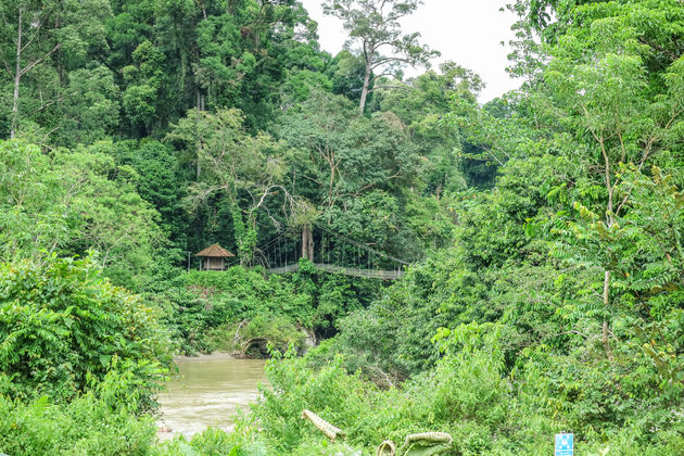 Net aangekomen op het Danum Valley Field Center, een paar uur rijden van de bewoonde wereld