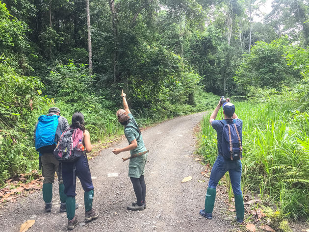 Dagen door de jungle lopen en dan zit \u2018ie gewoon in een boom langs het pad