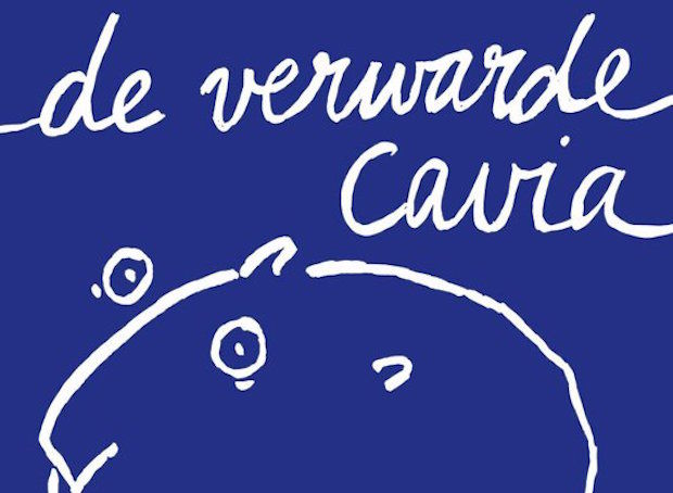 de-verwarde-cavia-paulien