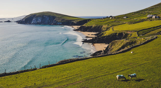 Dingle Way - Ierland\u00a9 luliia - Adobe Stock