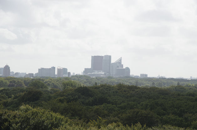 <i>Genieten van een mooi uitzicht. In dit geval de skyline van Den Haag.</i>