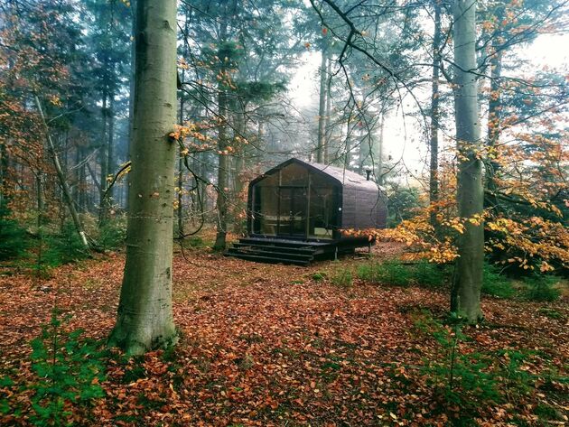 Bijzonder overnachten in een Cabiner, midden in de natuur in Drenthe