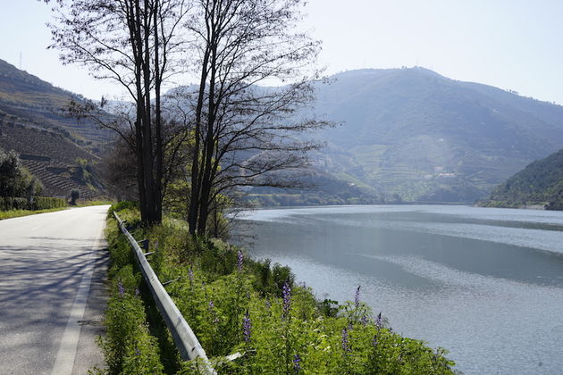 Douro vallei: een van de kroonjuwelen van Europa