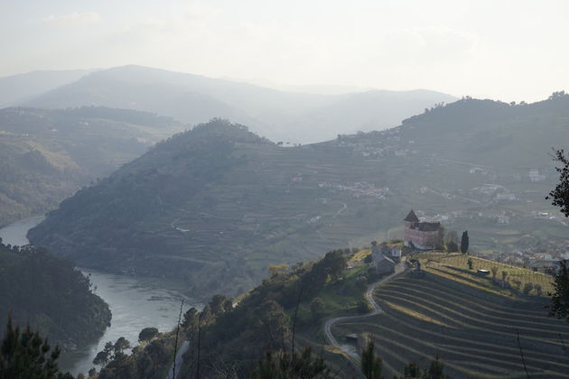 De Douro vallei in het vroege avondlicht is adembenemend mooi