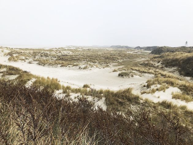 Uitgestrekte duinen en mooie natuur. Dit is voor velen de reden om naar Ameland te gaan!