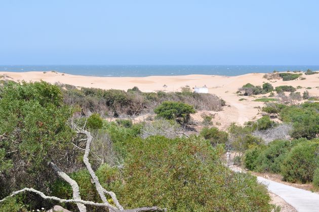 Het duingebied van Essaouira