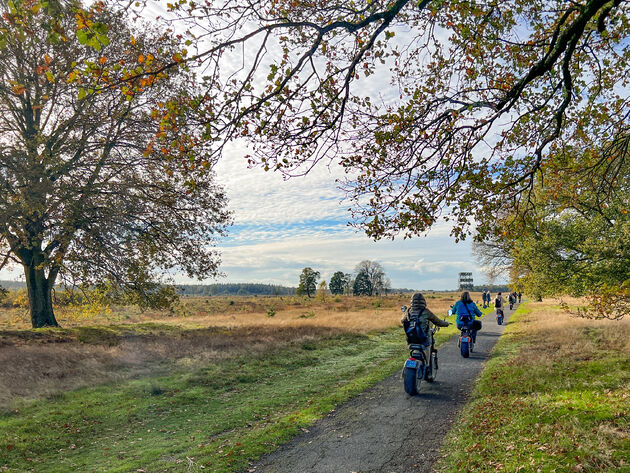 Op een e-chopper door het Drents-Friese Wold