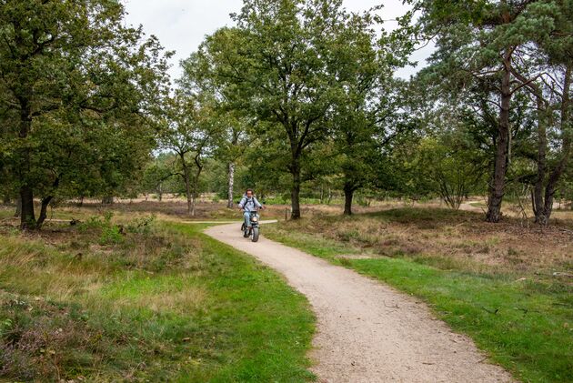 We rijden op een e-chopper door de mooie natuur