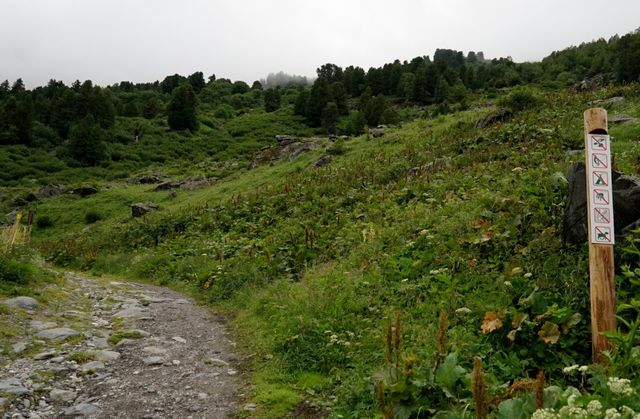 De smalle paden zijn verboden voor iedereen behalve Mountainbikers