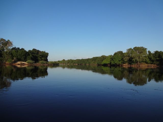 De Pantanal vanaf het water