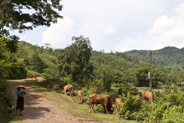 eco-tour-muong