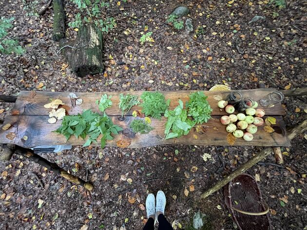 <em>Een tafel vol ingredi\u00ebnten voor een smaakvolle lunch!<\/em>