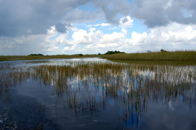 Het uitzicht op het prachtige water tijdens een tocht met de Airboat