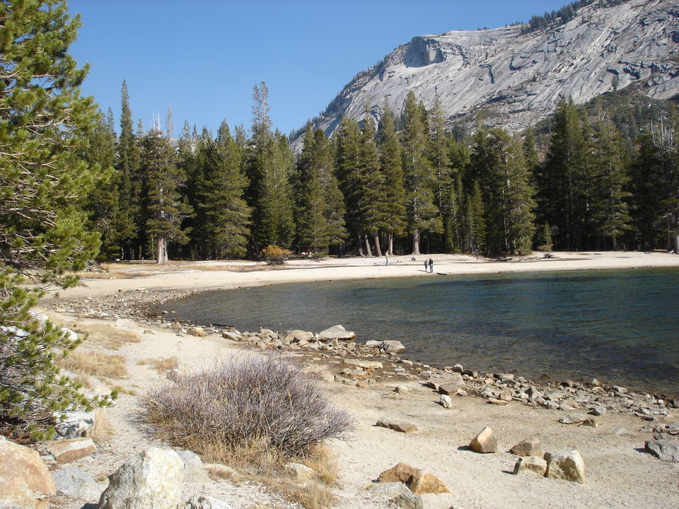 Yosemite National Park