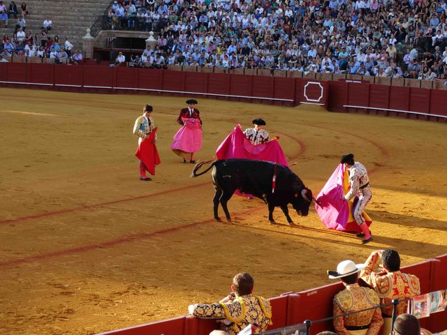 De arena van Sevilla