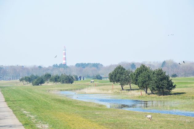 Kun je met de fiets op de mooiste plekken van Ameland komen.