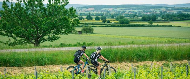 Fietsen tussen de wijnvelden in Bourgondi\u00eb