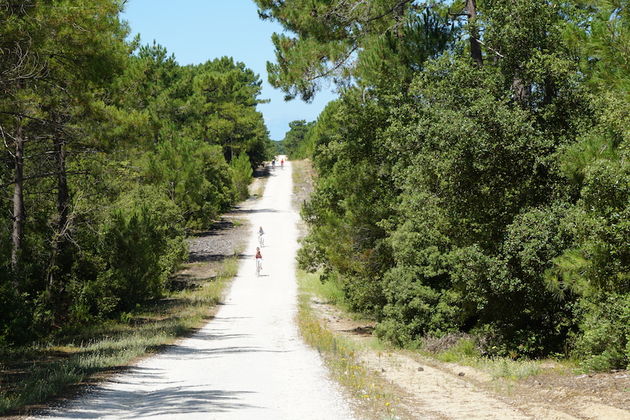 Heerlijk fietsen op de witte fietspaden van Ile d`Oleron