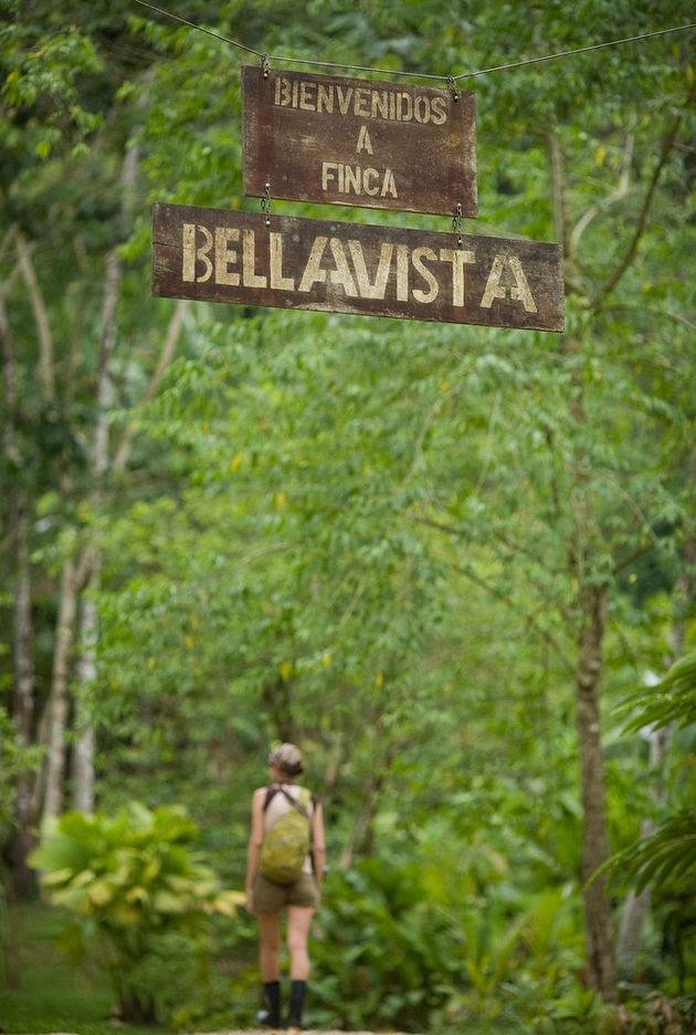 Finca-Bellavista-costa-rica-9