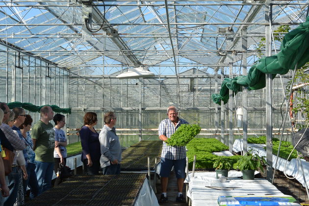 Fresh Guernsey Herbs