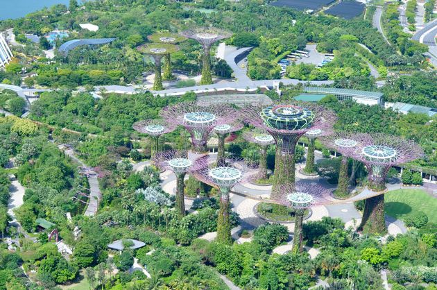 Uitzicht over Gardens by the Bay