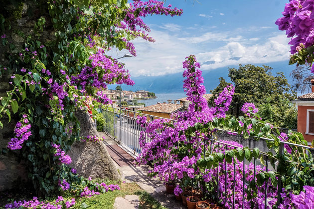 Met de bougainvillea in bloei wordt Gargnano n\u00f3g mooier