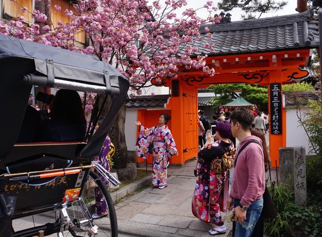 In de wijk Gion zie je deze prachtige geisha`s