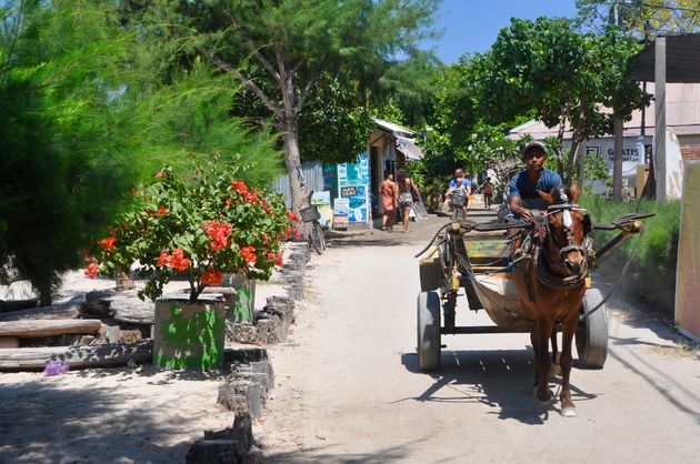 Met paard en wagen kun je het eiland rond