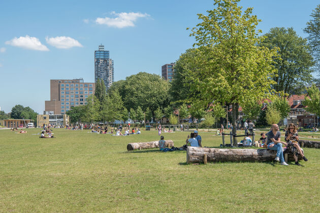 Haal een picknickmand bij het T-Huis en plof in het gras