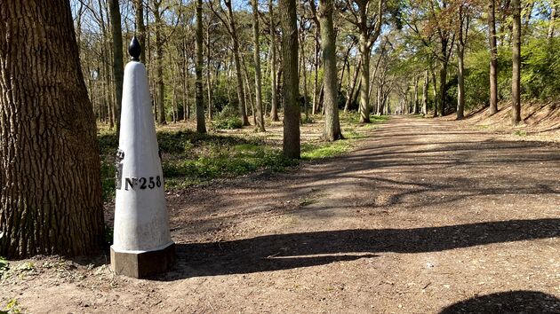 Grenspark Kalmthoutse Heide, deze palen ga je dus vaak tegenkomen