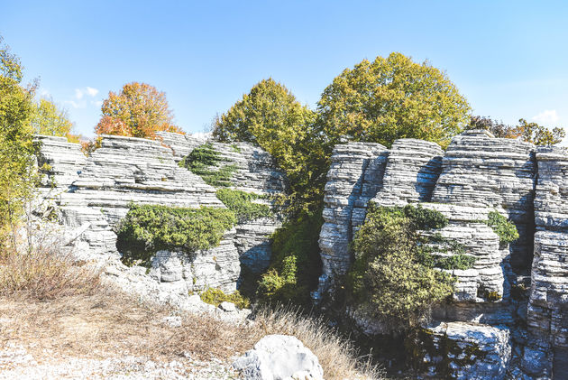 Het Stone Forest in de bergen van Zagori