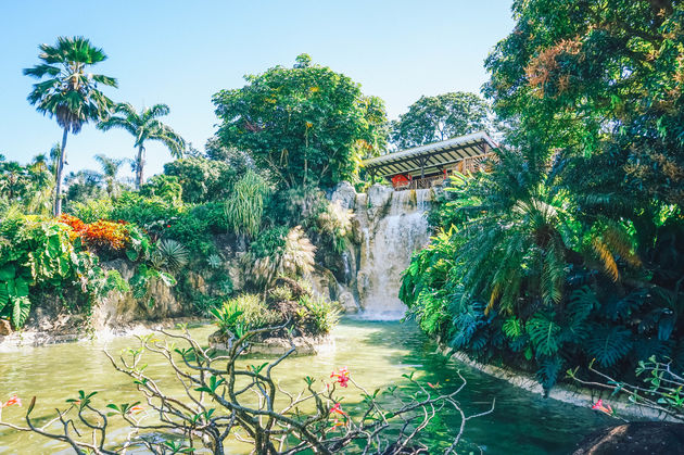 En ook de botanische tuin op Basse-Terre wil je niet missen