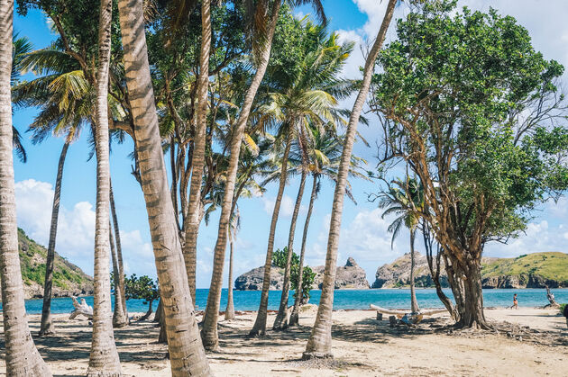 Plage de Pompierre is een van de allermooiste stranden die je op Guadeloupe gaat vinden