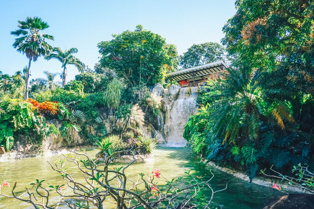 Een mooie waterval in de botanische tuin