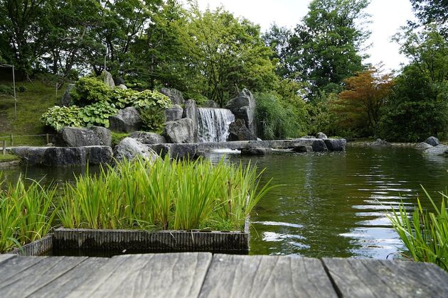 Hasselt_Japanse_tuin_waterval