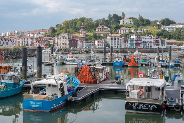 Volop bedrijvigheid in de haven van Saint-Jean-de-Luz