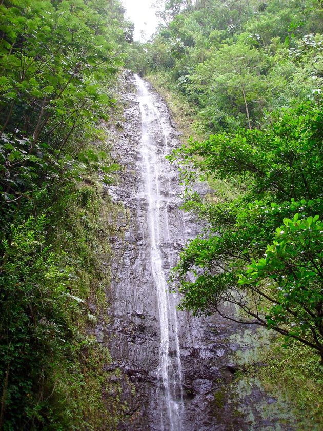 Manoa Falls