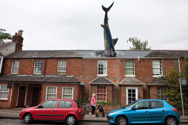 headington_shark