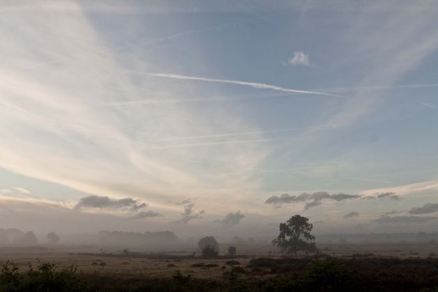 herfst-veluwe