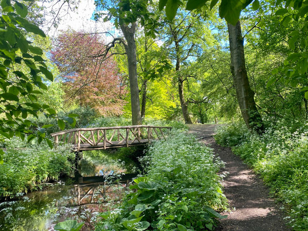 Het Park van Rotterdam, ook wel het Euromastpark