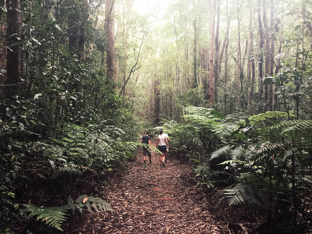 Hiken naar de Crystal Falls