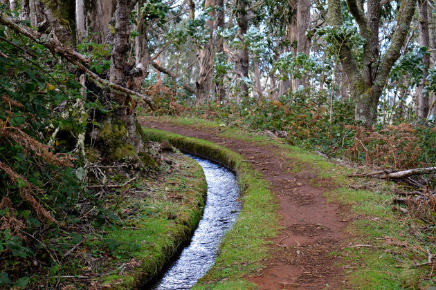 Hiken langs de levada`s