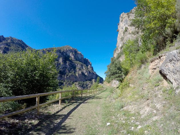 Tussen het beren spotten door maken we een prachtige korte hike